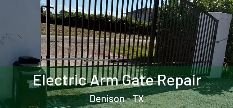 Electric Arm Gate Repair Denison - TX